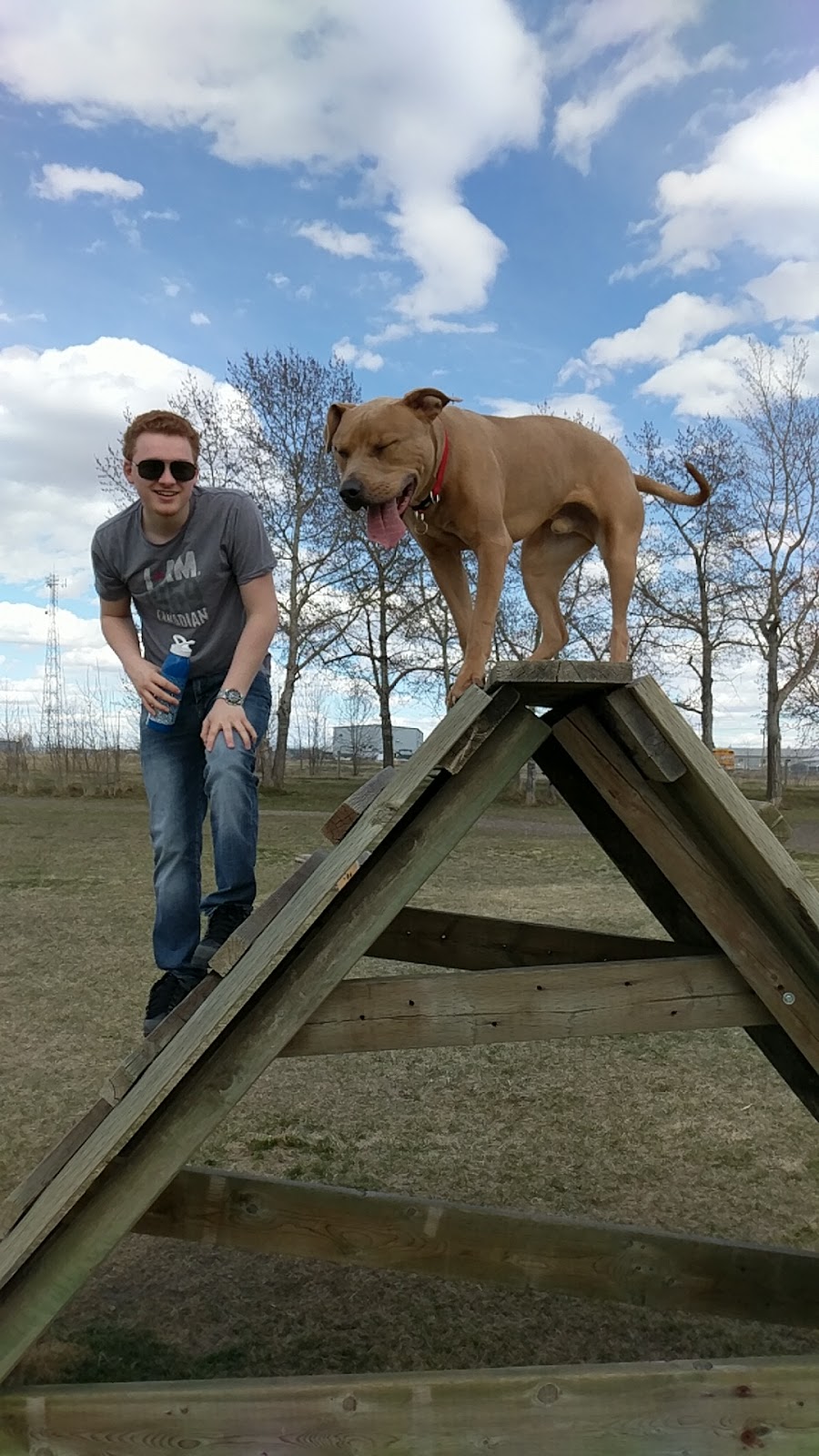 Town Of Strathmore Dog Park | 101 Slater Rd, Strathmore, AB T1P 1R8, Canada | Phone: (403) 934-0087