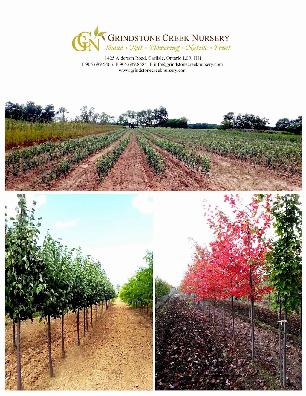Grindstone Creek Nursery Inc. | 148 Concession Rd 6 E, Millgrove, ON L0R 1V0, Canada | Phone: (905) 689-5466
