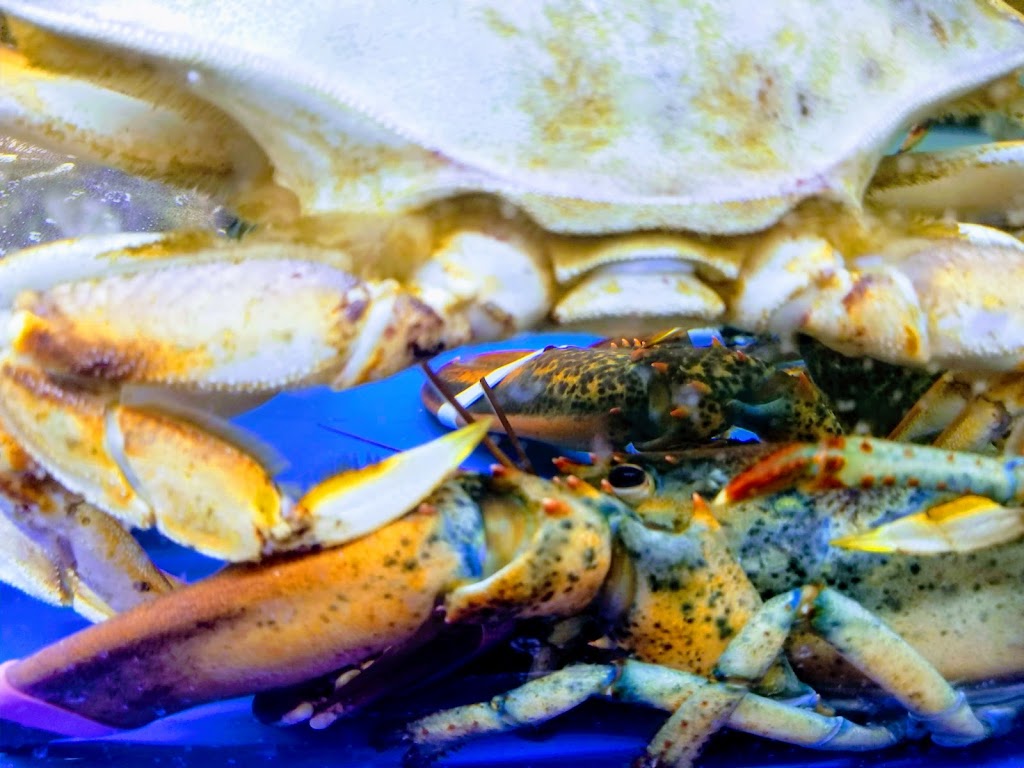 H-Mart Dunbar | 5557 Dunbar St, Vancouver, BC V6N 1W5, Canada | Phone: (604) 264-5950