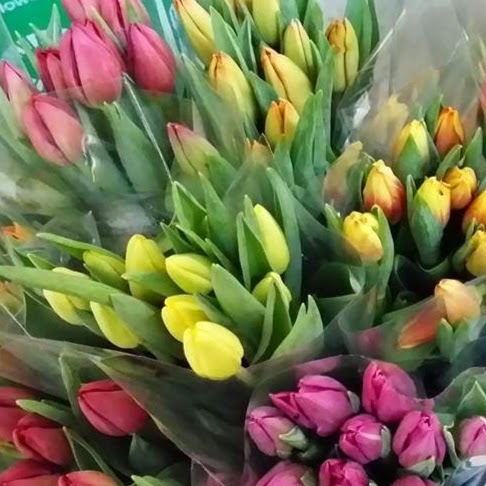 Orangeville Flowers & Greenhouses Ltd | 78 John St, Orangeville, ON L9W 2P8, Canada | Phone: (519) 941-2592