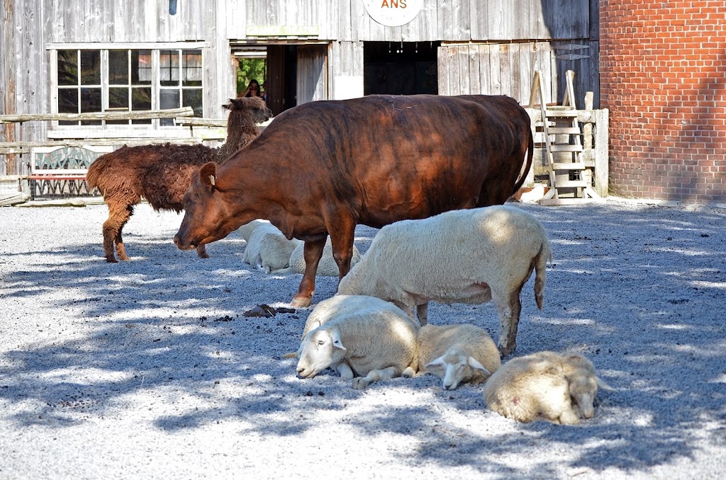 La Ferme dAndré 2.0 inc. | 1082 Chem. Upper Concession, Ormstown, QC J0S 1K0, Canada | Phone: (450) 829-2940