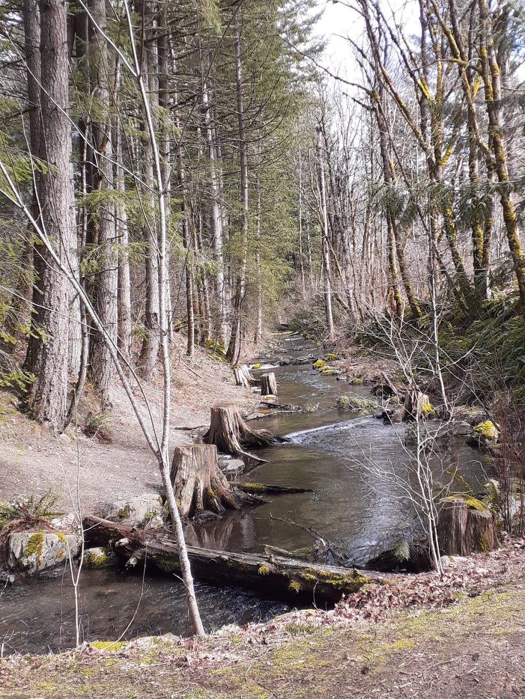 Thacker Regional Park | 20840 Union Bar Rd, Hope, BC V0X 1L1, Canada | Phone: (604) 702-5000