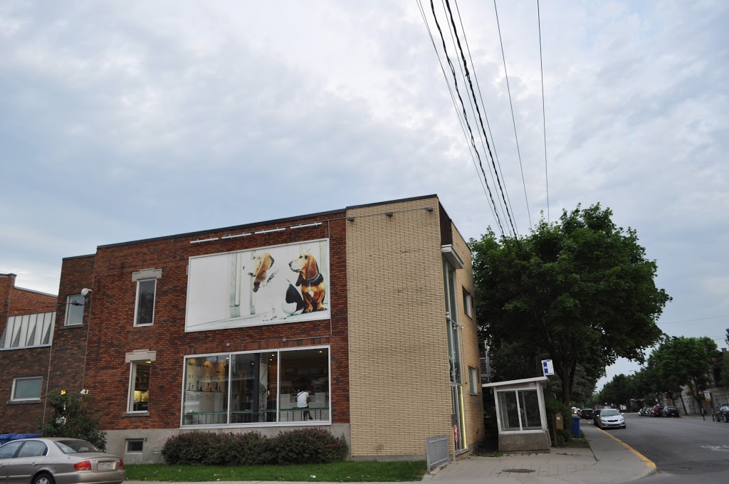 Hôpital Vétérinaire Verdun | 5650 Rue de Verdun, Verdun, QC H4H 1L5, Canada | Phone: (514) 762-4300
