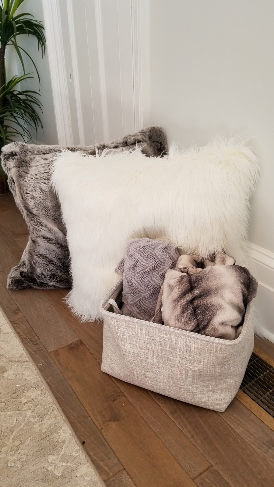Jessica Vanlauwe | 3362 Old Beverly Rd, Cambridge, ON N1R 5S7, Canada | Phone: (519) 498-8756