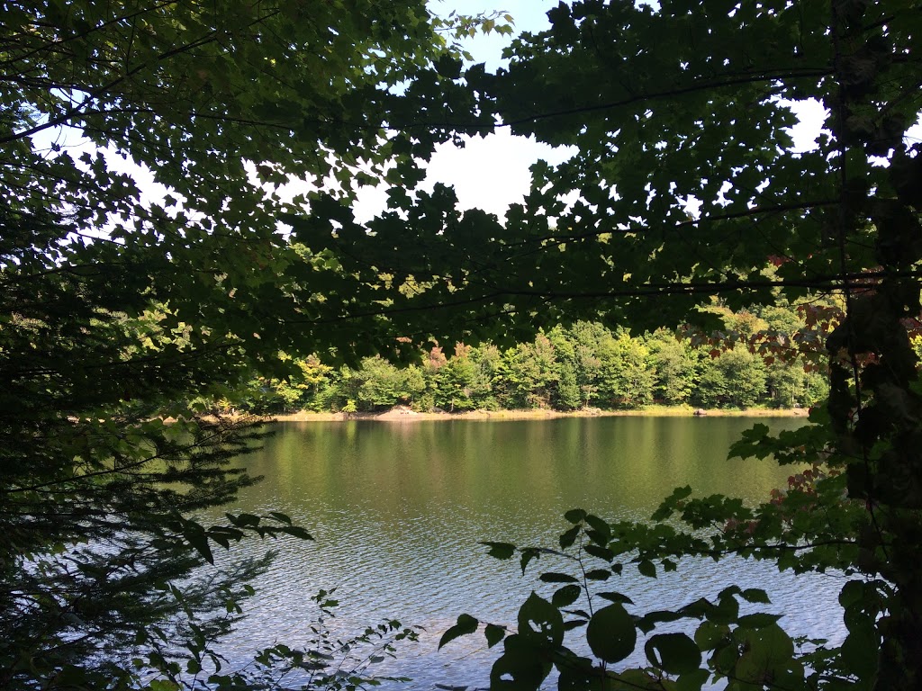 Camping du Lac des Sables | 1148 route 309 nord, Notre-Dame-du-Laus, QC J0X 2M0, Canada | Phone: (819) 767-2632