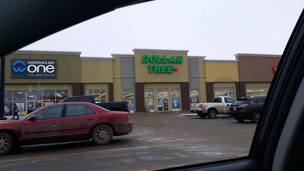 Dollar Tree | 18465 Stony Plain Rd, Edmonton, AB T5S 2V9, Canada | Phone: (780) 443-1500