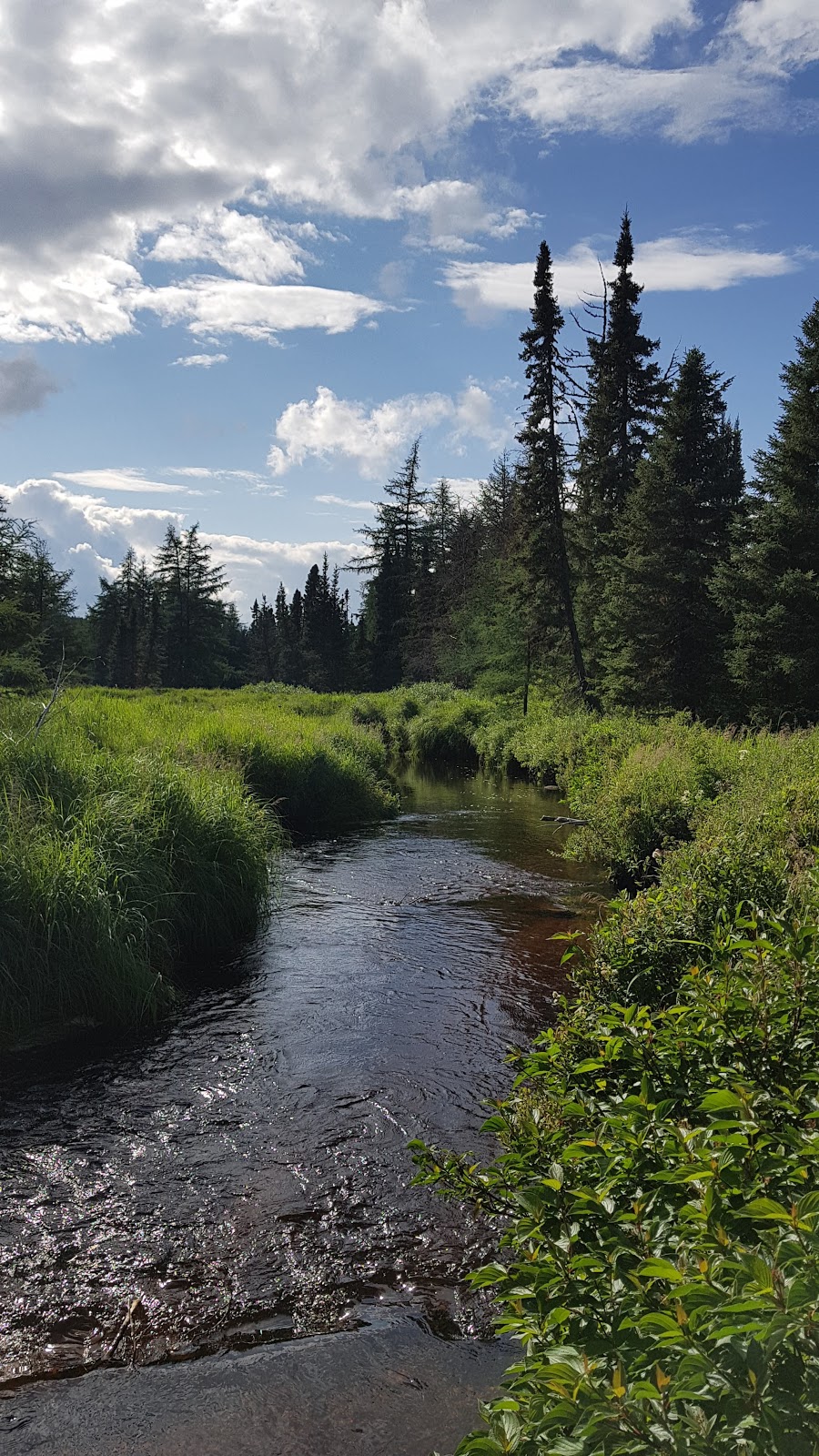 Réserve faunique des Laurentides | Route QC-175 Km 94, Sainte-Brigitte-de-Laval, QC G0A 3K0, Canada | Phone: (418) 528-6868