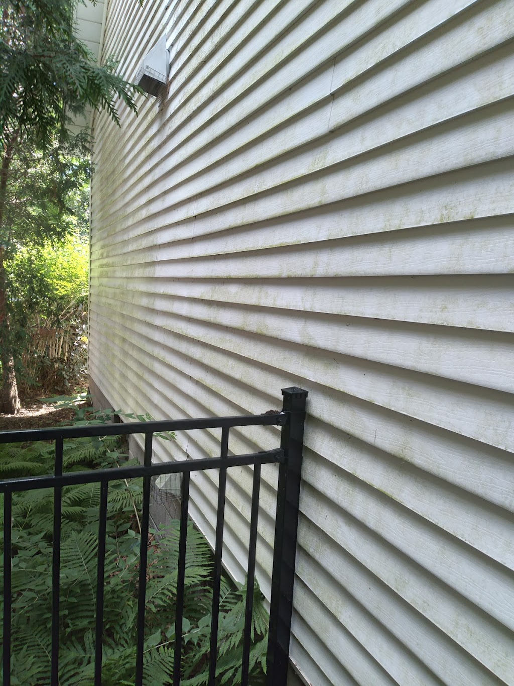 Bruce Exterior Services | 198 Concession Rd 10, Port Elgin, ON N0H 2C6, Canada | Phone: (519) 385-5782