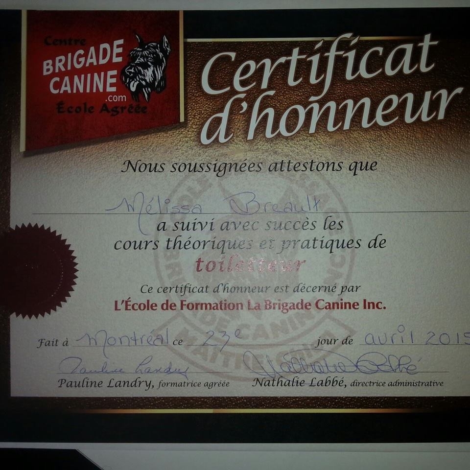 Toilettage chez Puncho | 111 Rue des Pins, Ange-Gardien, QC J0E 1E0, Canada | Phone: (514) 757-6760