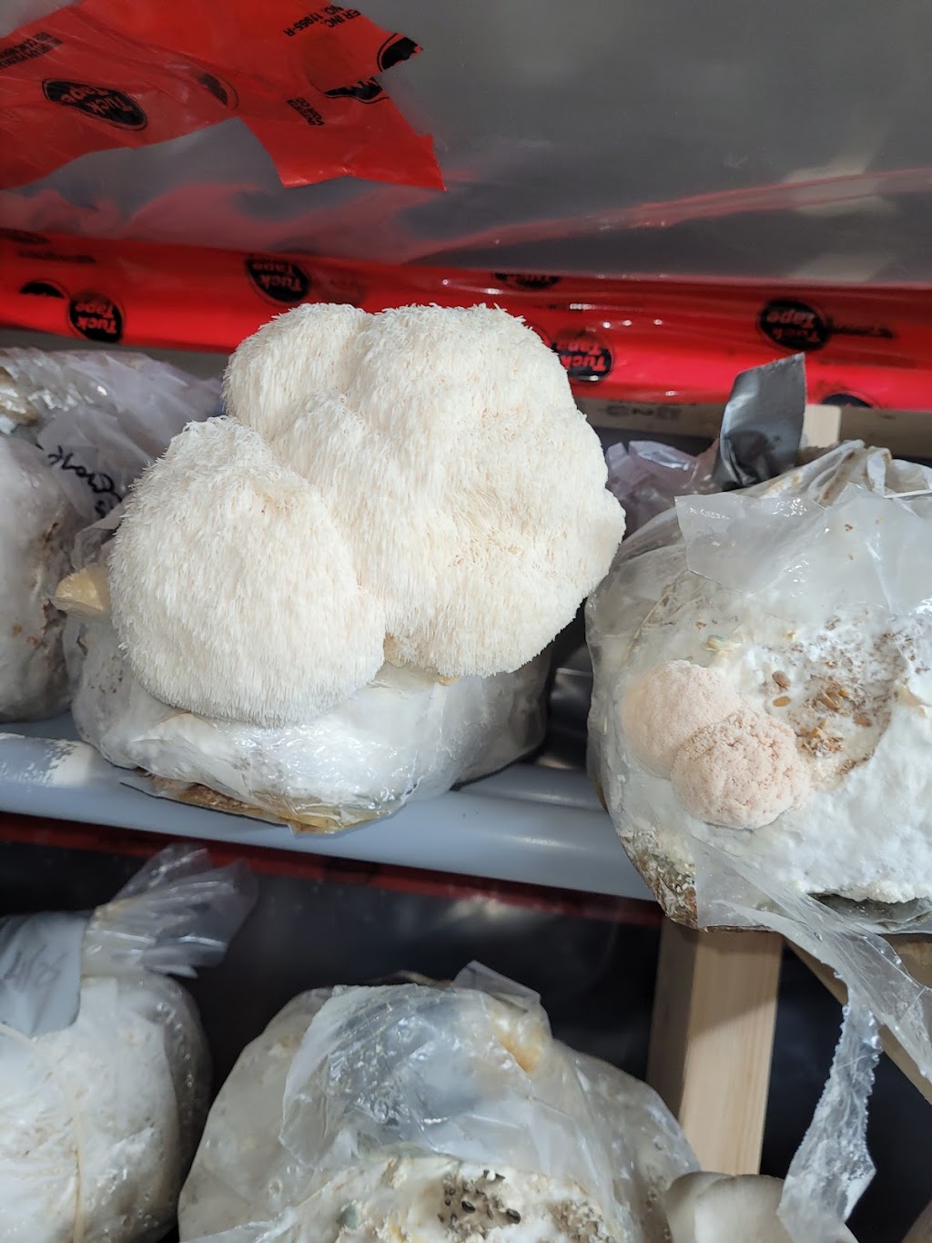 Mikees Gourmet Mushies | 21851 ON-12, Sunderland, ON L0C 1H0, Canada | Phone: (905) 244-1798