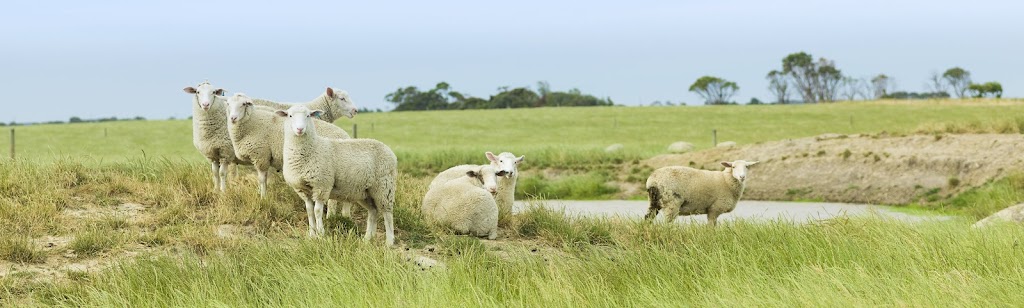 Mehran Farm | 177 Smith Rd, Roslin, ON K0K 2Y0, Canada | Phone: (416) 497-7777