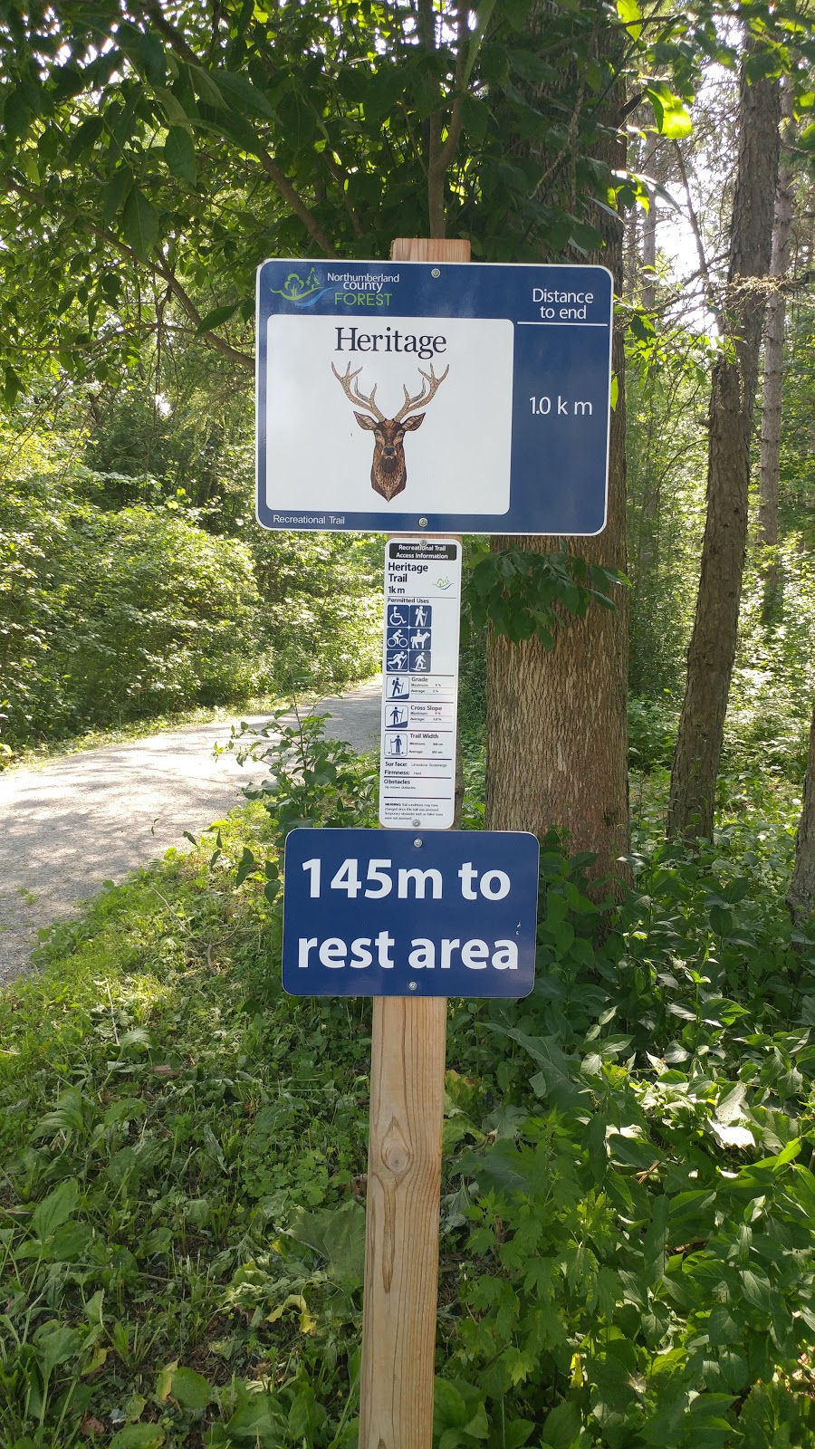 Beagle Club Trailhead, Northumberland County Forest | Beagle Club Rd, Harwood, ON K0K 2H0, Canada | Phone: (905) 372-3329