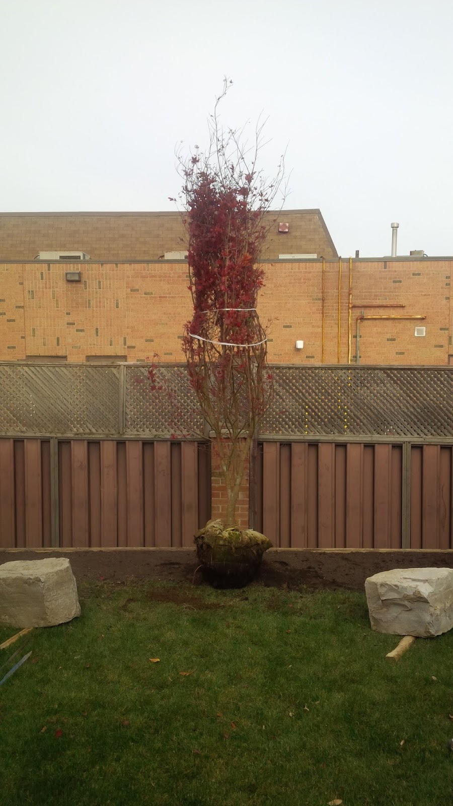 Witek Acres Landscape | 8972 Adjala 5 Sideroad, Palgrave, ON L0N 1P0, Canada | Phone: (416) 735-0648