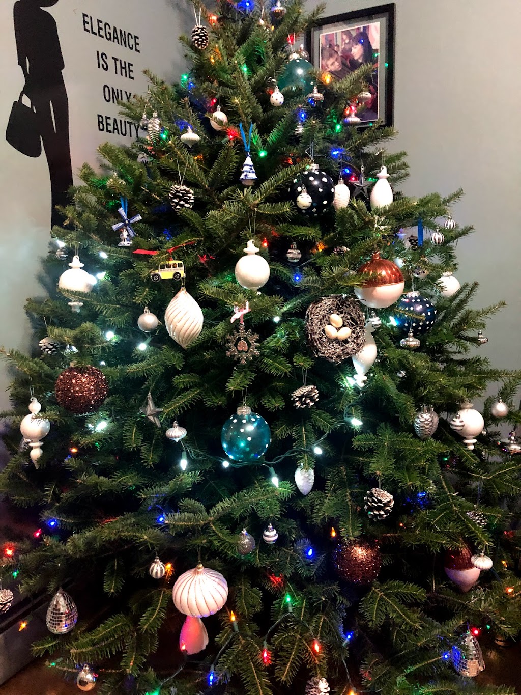 Kellys Christmas Tree Farm | 4013 Fort Augustus Rd, Fort Augustus, PE C1A 2Z3, Canada | Phone: (902) 394-2215