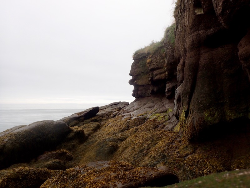 Kayak Fundy | FreshAir Adventure | 16 Fundy View Dr, Alma, NB E4H 1H6, Canada | Phone: (506) 887-2249
