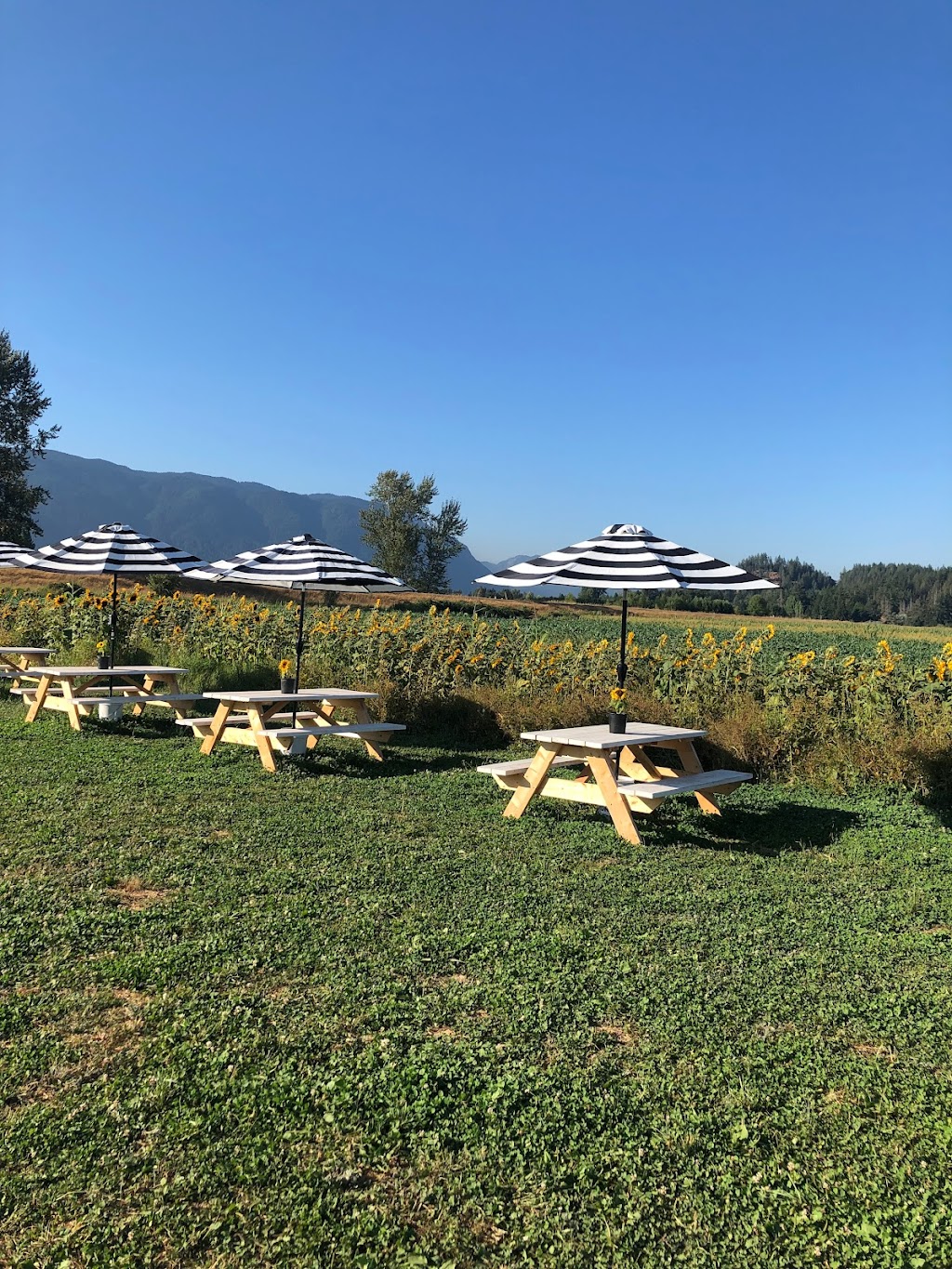 Hale’s End Farms | 14370 Hale Rd, Pitt Meadows, BC V3Y 1Z1, Canada | Phone: (604) 690-6055