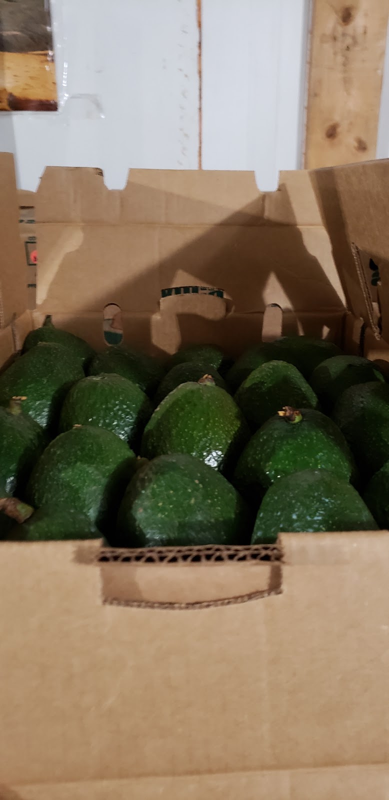Tropimex Produce | 4151 184 St, Surrey, BC V3Z 1B7, Canada | Phone: (604) 277-1705