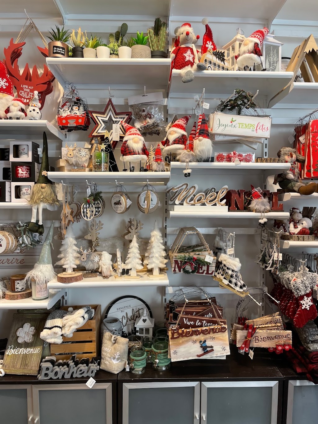 Tremblant & CO. | 118 Chem. de Kandahar, Mont-Tremblant, QC J8E 1E2, Canada | Phone: (819) 681-5956
