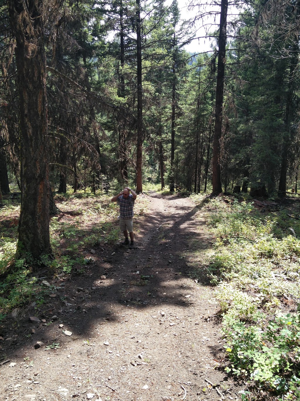 Baldy Butte | Coldstream, BC V1B 3H2, Canada | Phone: (250) 308-9389