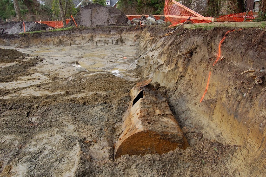 South Island Environmental | 2684 Courtney Way, Shawnigan Lake, BC V0R 2W2, Canada | Phone: (250) 812-6614