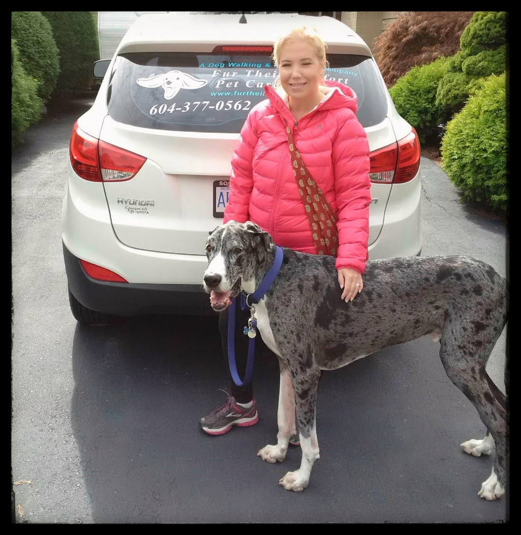 Fur Their Comfort Pet Care | 1845 Suffolk Ave, Port Coquitlam, BC V3B 5G6, Canada | Phone: (604) 377-0562