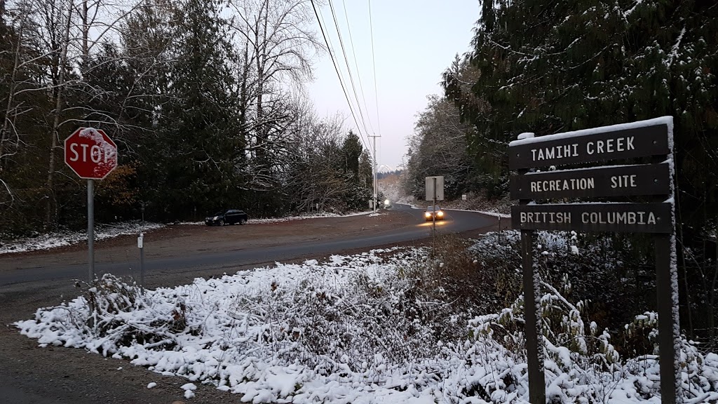 Tamihi Creek Campground | Chilliwack Lake Rd, Chilliwack, BC V0X 1X0, Canada | Phone: (604) 824-0576