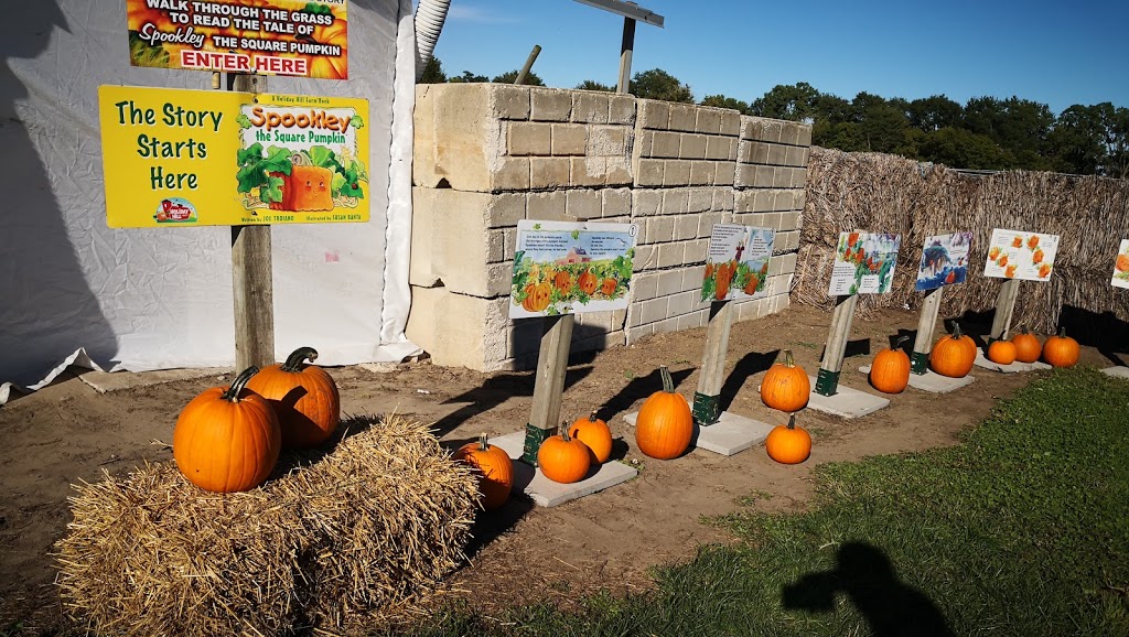 Thiessen Apple Orchard | 400 Talbot Rd E, Leamington, ON N8H 3V6, Canada | Phone: (519) 326-5282