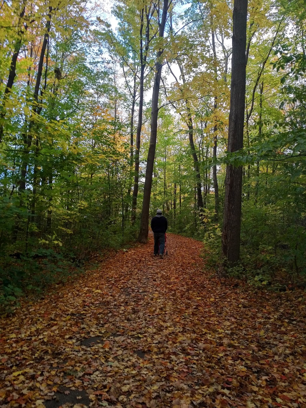 Levis Valley Park | 1575 Westbridge Way, Mississauga, ON L5N 7S9, Canada