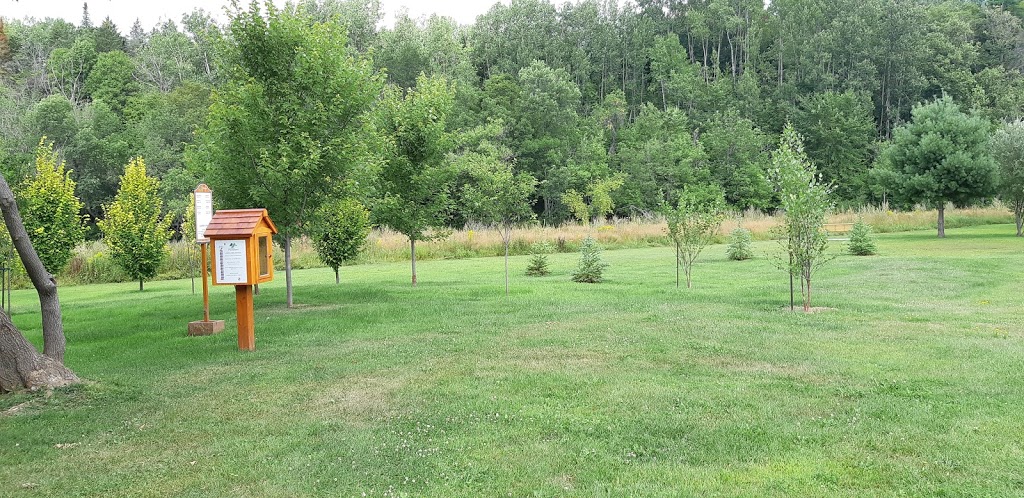 Parc du chemin du pont | 175 Chemin du Pont, Piedmont, QC J0R 1K0, Canada | Phone: (450) 227-1888
