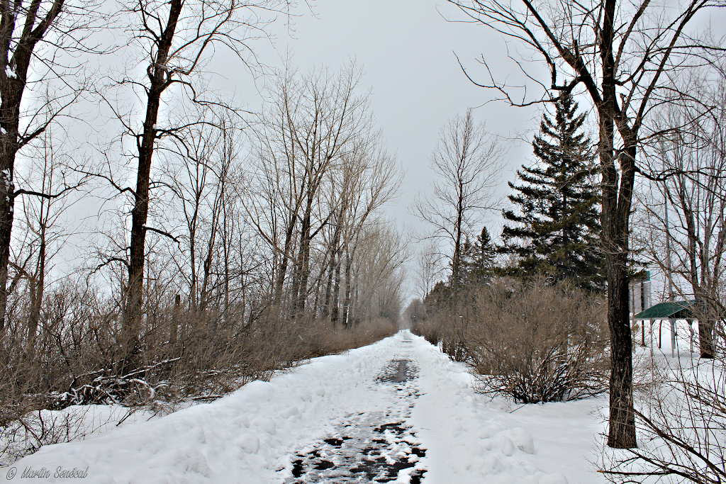 Parc Lucie-F.-Roussel | 1300 Chemin de Saint-Jean, La Prairie, QC J5R 5H9, Canada | Phone: (450) 444-6724