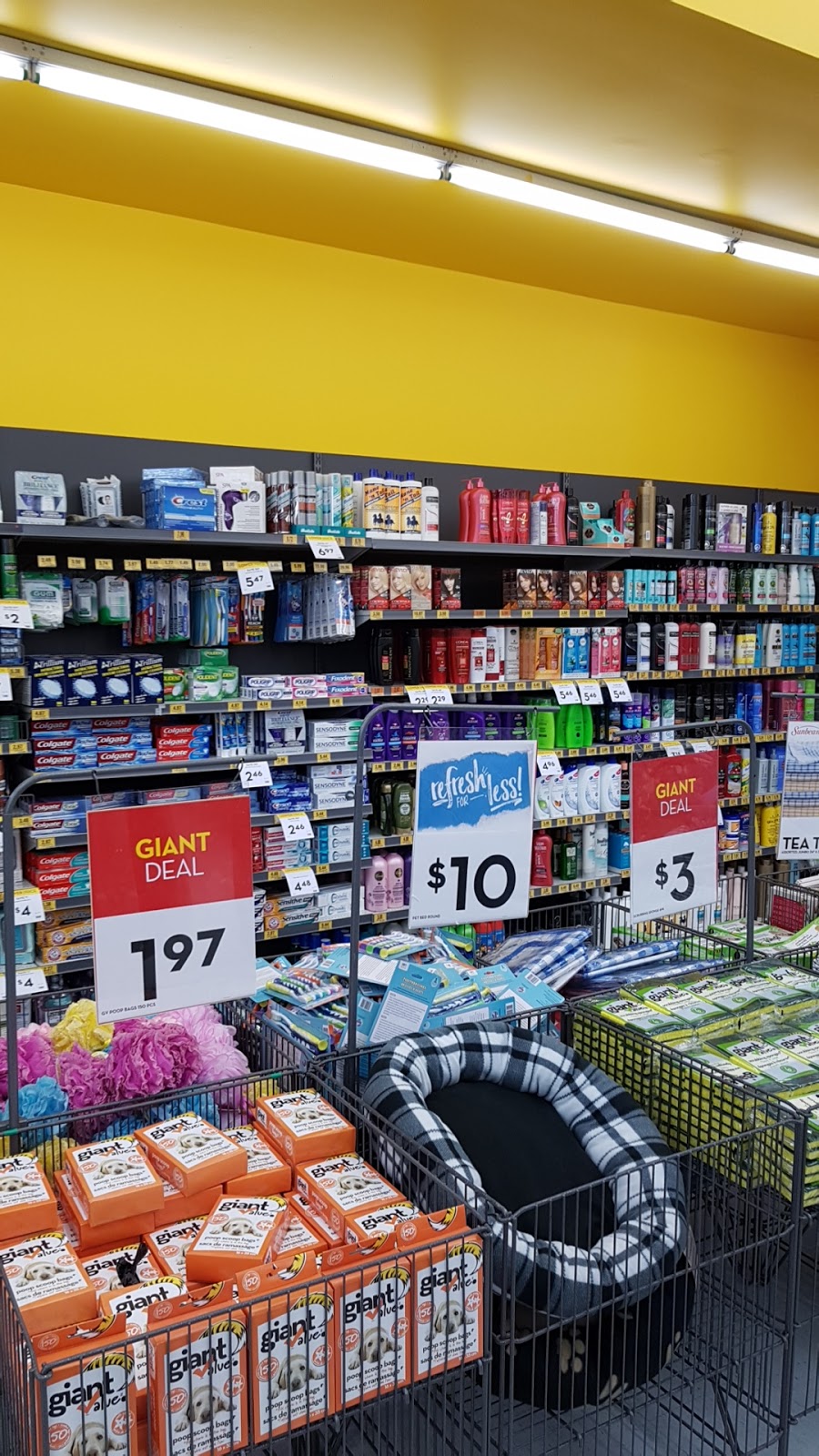 Giant Tiger | 378 Queen St S, Bolton, ON L7E 4Z7, Canada | Phone: (905) 857-9199