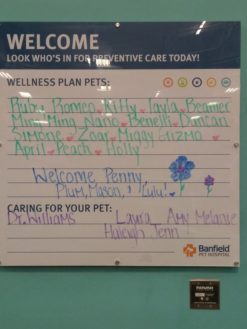 Banfield Pet Hospital | 51347 Gratiot Ave, Chesterfield Township, MI 48051, USA | Phone: (586) 949-0178