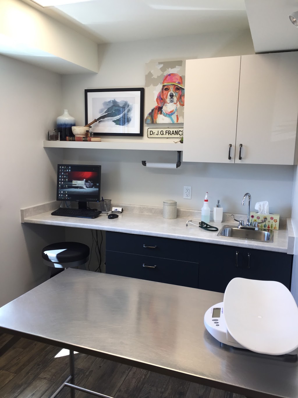 Blue Cross Animal Hospital | 612 King St W, Hamilton, ON L8P 1C2, Canada | Phone: (905) 522-6879