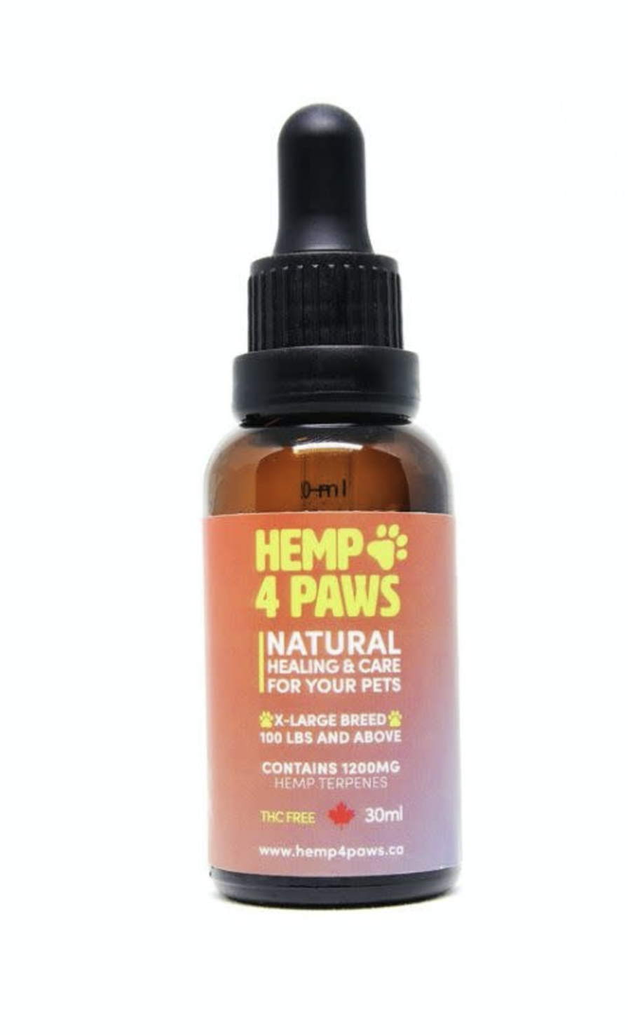 All Pets | 451 Church St, Toronto, ON M4Y 2C5, Canada | Phone: (416) 901-7387