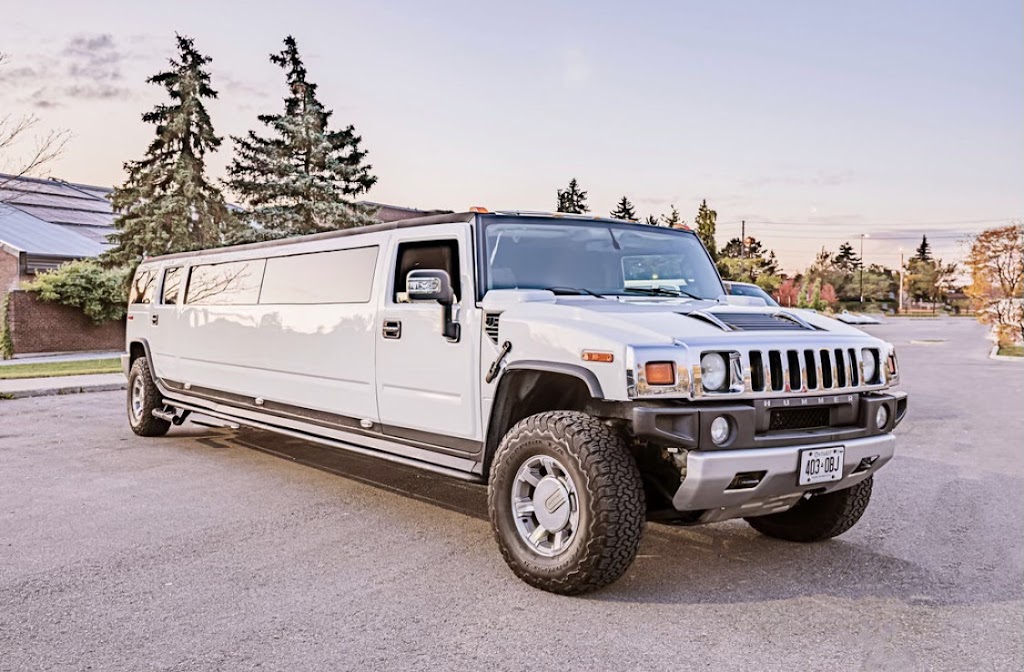 Platinum Rides | 17 Willick Pl, Brampton, ON L6X 4Z5, Canada | Phone: (437) 370-7407
