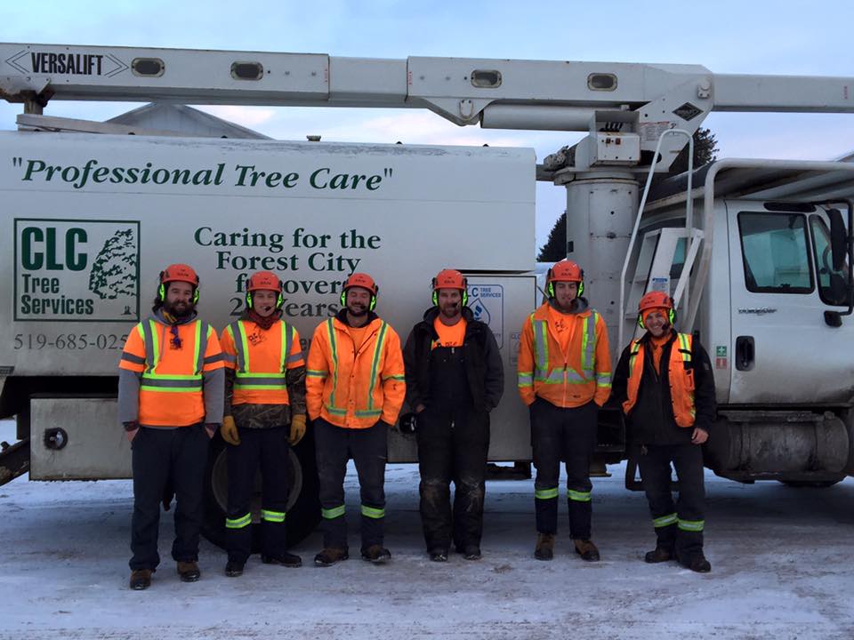 CLC Tree Services Ltd | 7024 Kerr Rd, London, ON N6N 1C5, Canada | Phone: (519) 685-0257