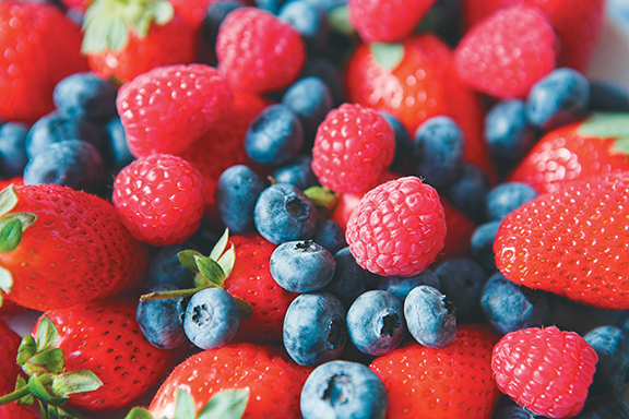 The Village Market AG Foods | Box, 7A Village Dr RR#2, Westerose, AB T0C 2V0, Canada | Phone: (780) 586-3860