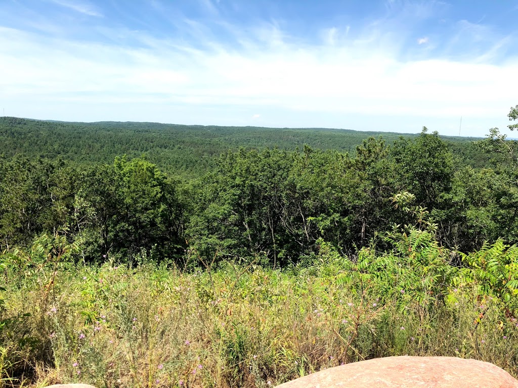 Northumberland County Forest | Alnwick/Haldimand, ON K0K 2X0, Canada | Phone: (905) 372-3329
