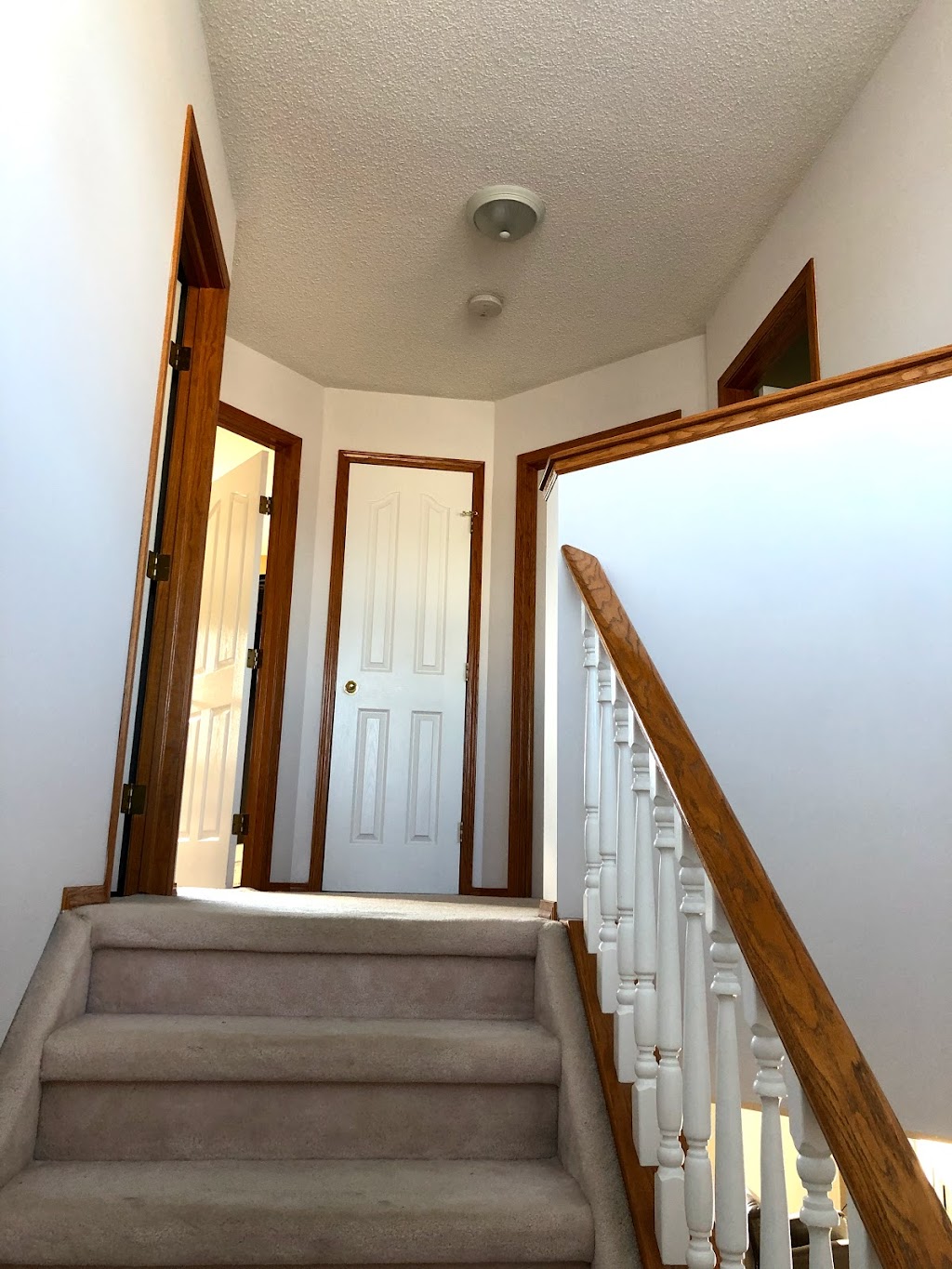 Paint It Right | 6011 141 Ave NW, Edmonton, AB T5A 1H9, Canada | Phone: (780) 707-0246