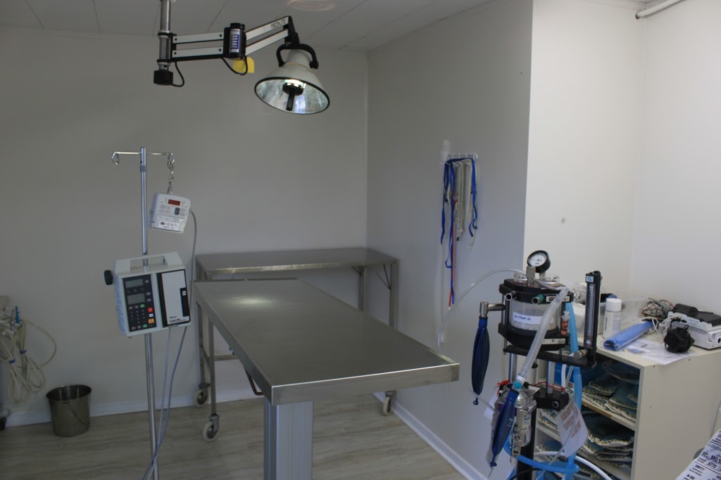 Bucksburn Veterinary Hospital | 2078 Upper Middle Rd E, Oakville, ON L6H 7G5, Canada | Phone: (905) 257-7777