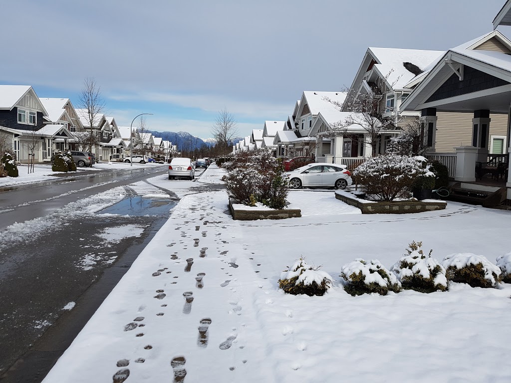 Outlook | 8250 209B Street, Langley City, BC V2Y 2C4, Canada | Phone: (236) 887-5972