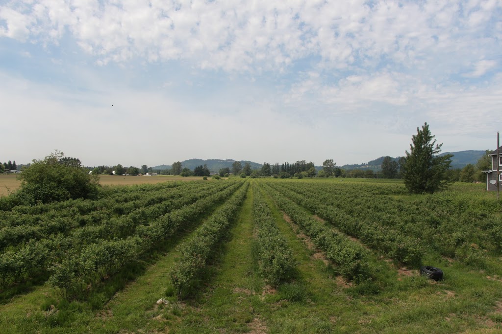 WINGREEN Farms - Wingreen International (Canada) Ltd. | 8539 River Rd S, Dewdney, BC V0M 1H0, Canada | Phone: (604) 370-1187