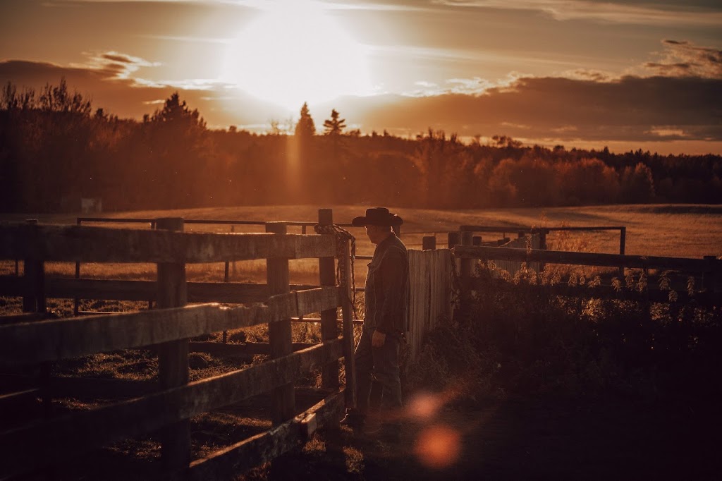 The Meadows Ranch Photography | 27301 rr 580, Busby, AB T0G 0H0, Canada | Phone: (780) 972-7239