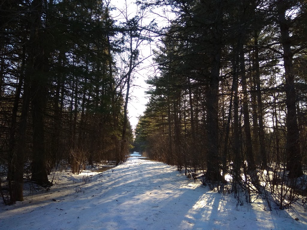 Greenbelt Parking P19 | Leitrim Rd, Ottawa, ON K0A 2Y0, Canada