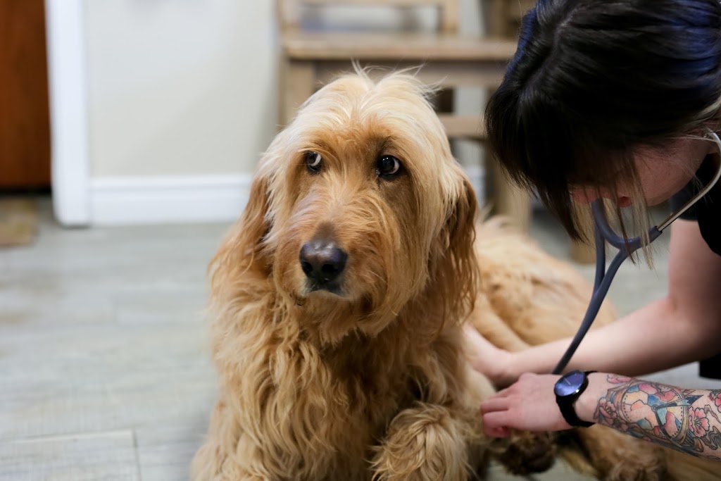 Draper Veterinary Services Centre Inc | 1144 Bedford Hwy, Bedford, NS B4A 1B8, Canada | Phone: (902) 835-6349