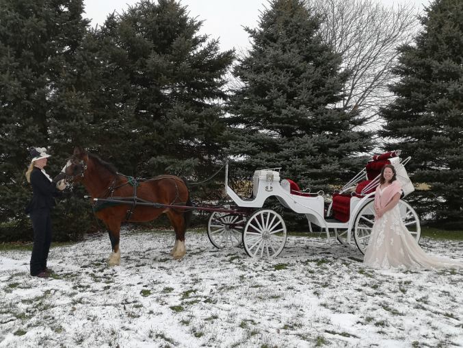 K.C.L Carriages | 86546 Laurier Line, Goderich, ON N7A 3X9, Canada | Phone: (519) 525-0127