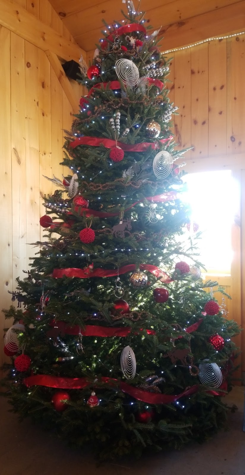 Denmar Christmas Trees | 217 Clearview Rd, Stirling, ON K0K 3E0, Canada | Phone: (613) 922-2841