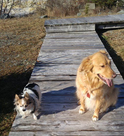 Ankes Bed Breakfast | 22864 Highway #7, Sheet Harbour, NS B0J 3B0, Canada | Phone: (902) 885-2172