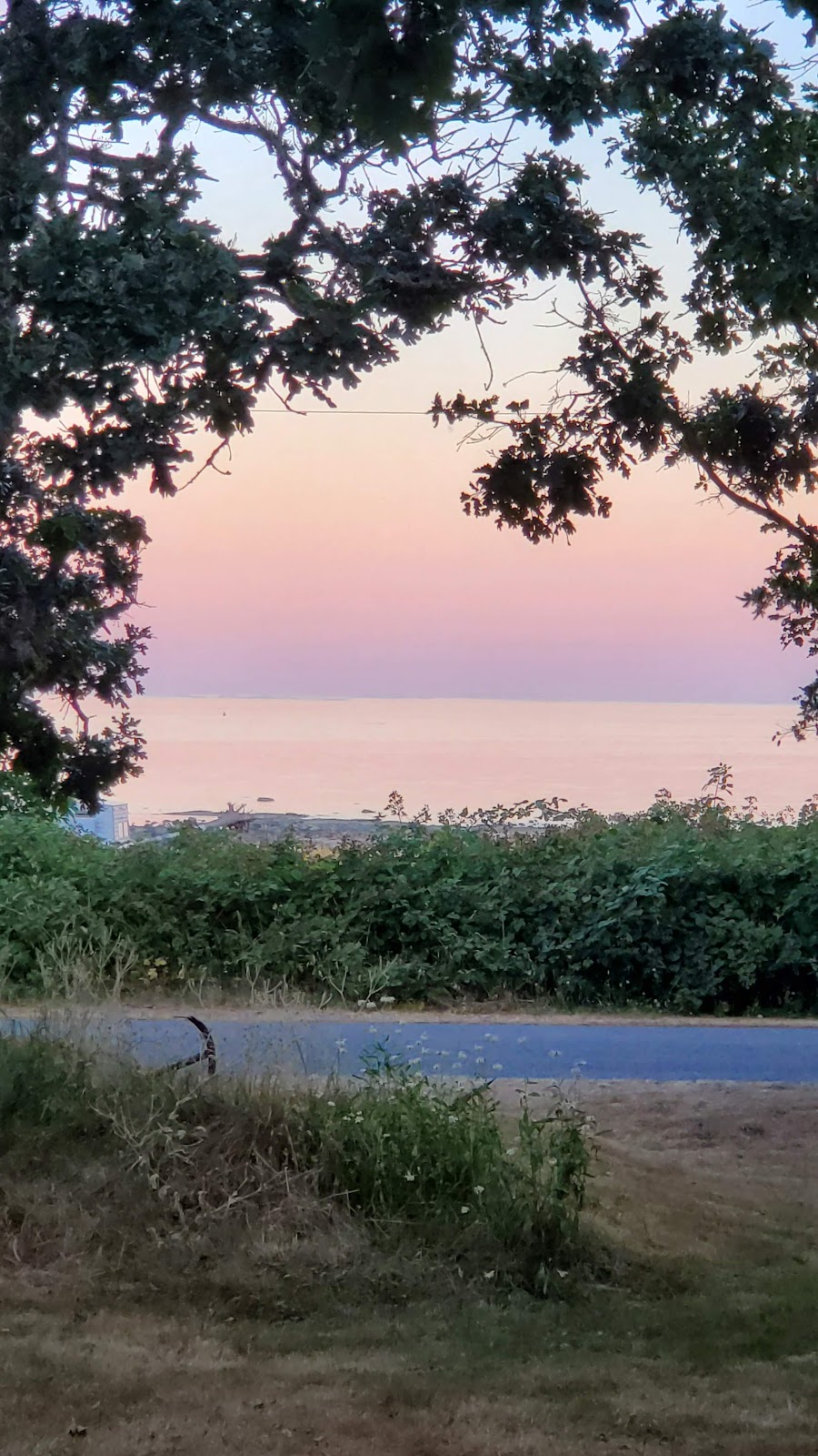 Outer Island Guest Farm | 4785 De Pape Rd, Hornby Island, BC V0R 1Z0, Canada | Phone: (250) 335-2379