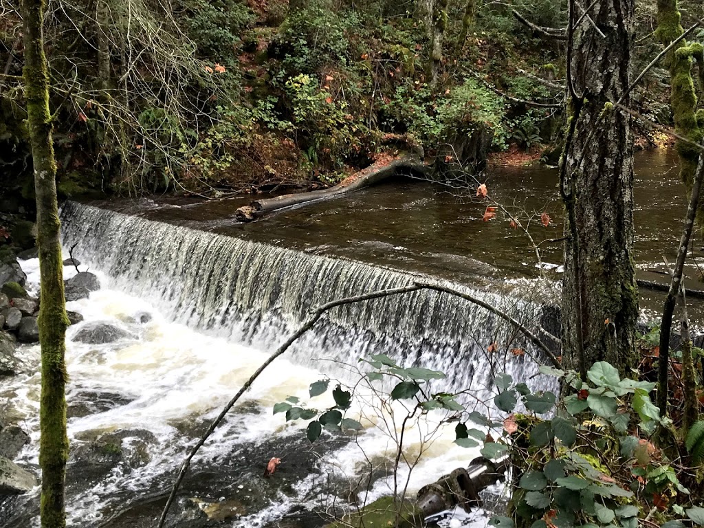 Holland Creek Trail | Heart Lake Trail, Ladysmith, BC V9G 1V4, Canada